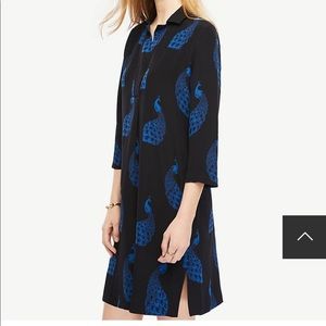 Ann Taylor Peacock Shift Dress